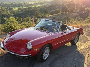 1971 Alfa Romeo Series 2 Kammtail Spider  on Craigslist
